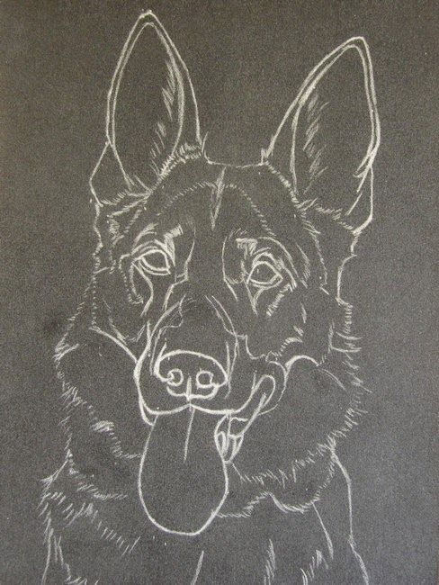 100 Top Idées & Tutos de Dessins de Chiens 9 100 Top Idées & Tutos de Dessins de Chiens 9