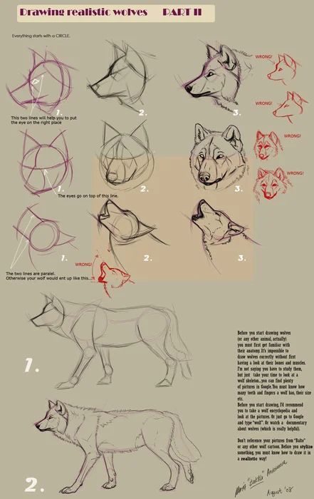 100 Top Idées & Tutos de Dessins de Chiens 92 100 Top Idées & Tutos de Dessins de Chiens 92
