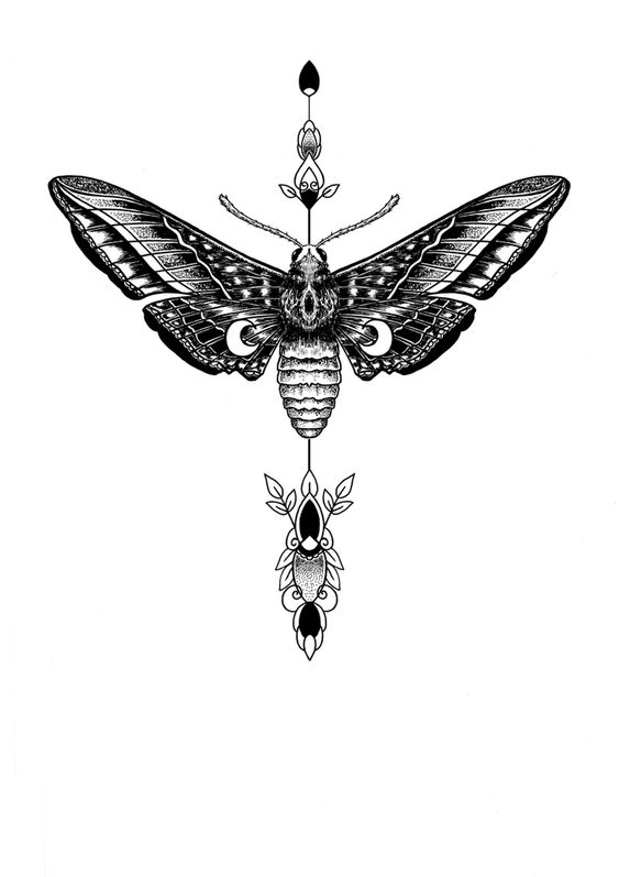 100 top idées de tatouages papillons originaux 98 100 top idées de tatouages papillons originaux 98