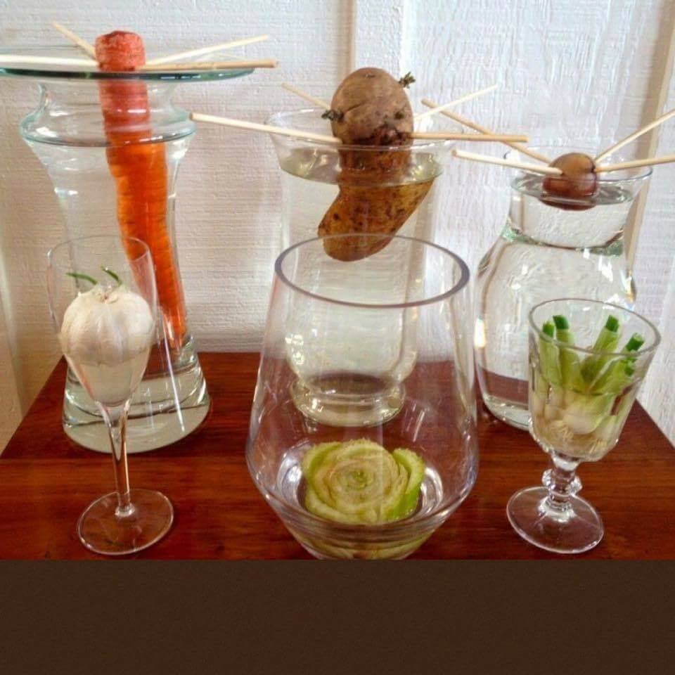 30 top idées pour faire votre propre potager à la maison 4 30 top idées pour faire votre propre potager à la maison 4