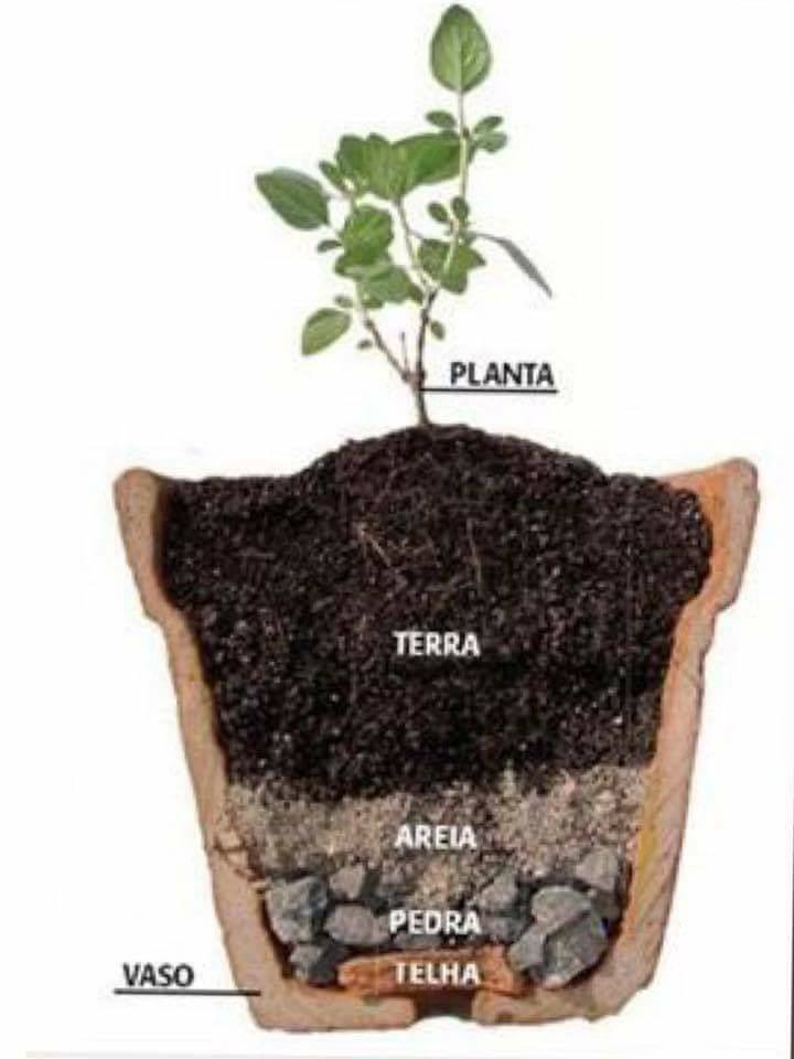 30 top idées pour faire votre propre potager à la maison 7 30 top idées pour faire votre propre potager à la maison 7