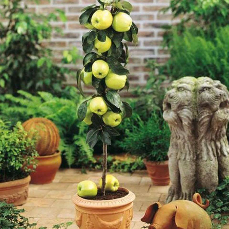 30 top idées pour faire votre propre potager à la maison 25 30 top idées pour faire votre propre potager à la maison 25