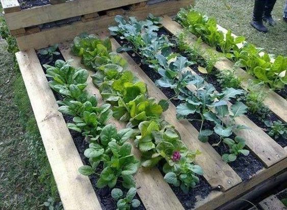 79 décors de jardin à faire avec des palettes 24 79 décors de jardin à faire avec des palettes 24