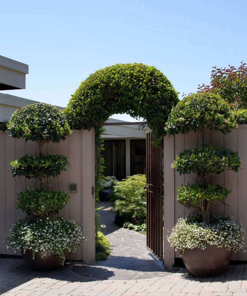 50 top idées de jardins verticaux pour s'inspirer 1 50 top idées de jardins verticaux pour s'inspirer 1