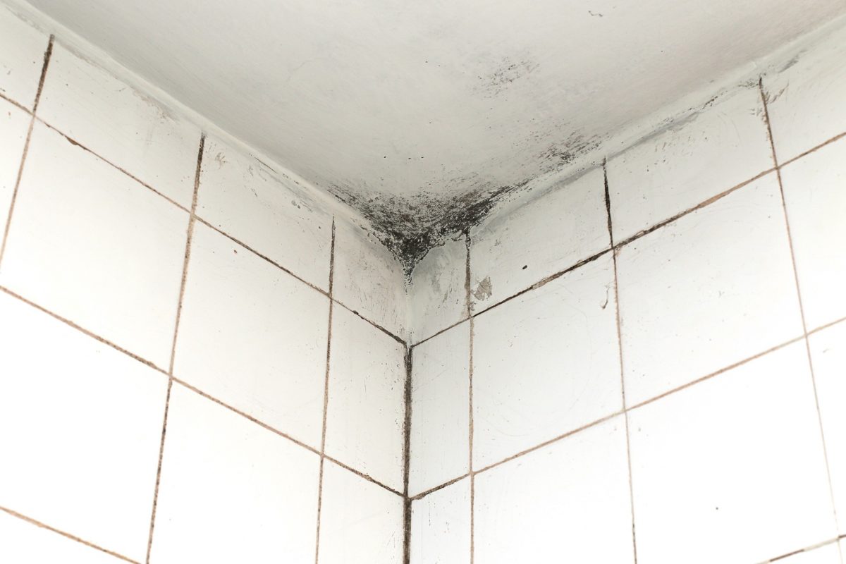 10 astuces hyper-simples pour nettoyer les toilettes 4 10 astuces hyper-simples pour nettoyer les toilettes 4