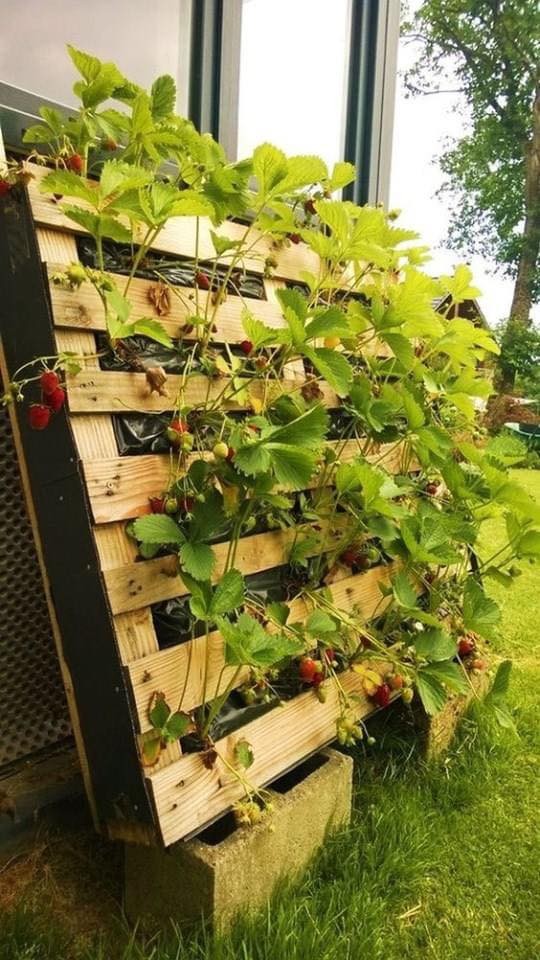 26 idées pratiques et économiques pour le jardin 14 26 idées pratiques et économiques pour le jardin 14