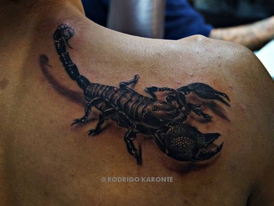 Les 50 plus beaux tatouages scorpion 18 Les 50 plus beaux tatouages scorpion 18