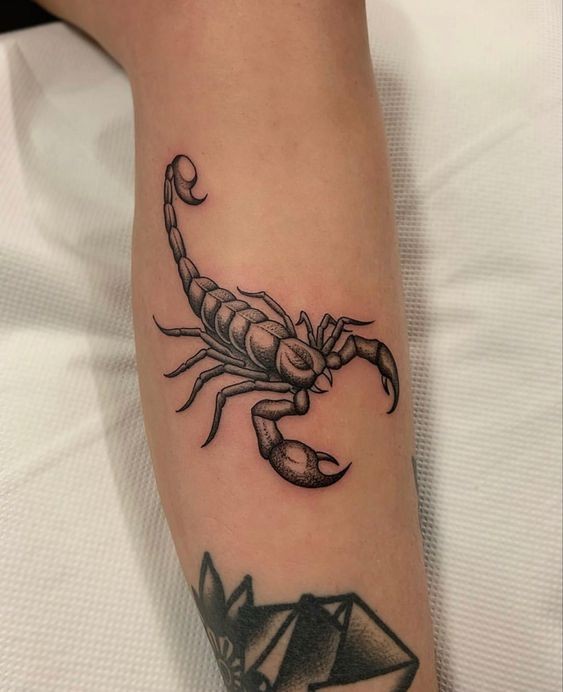 Les 50 plus beaux tatouages scorpion 20 Les 50 plus beaux tatouages scorpion 20