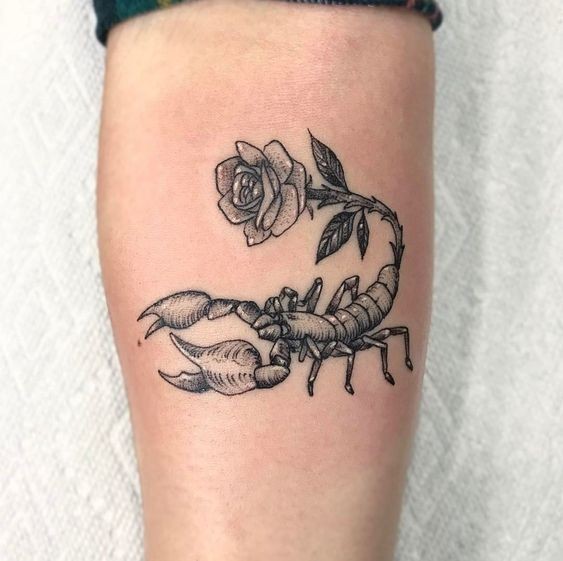 Les 50 plus beaux tatouages scorpion 21 Les 50 plus beaux tatouages scorpion 21