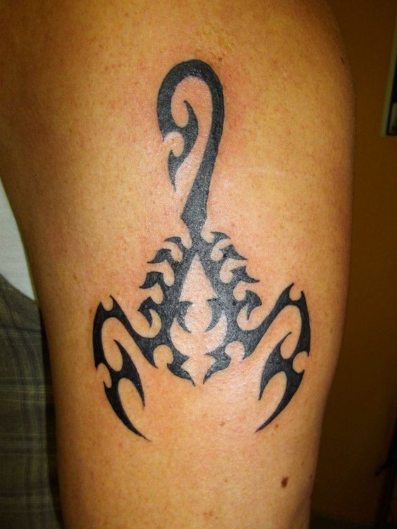 Les 50 plus beaux tatouages scorpion 3 Les 50 plus beaux tatouages scorpion 3