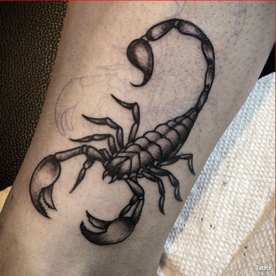 Les 50 plus beaux tatouages scorpion 24 Les 50 plus beaux tatouages scorpion 24