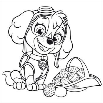 Coloriage Stella Pat Patrouille Skye Paw Patrol Dessin Stella à