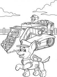 100 idées de dessins pat patrouille 90 100 idées de dessins pat patrouille 90