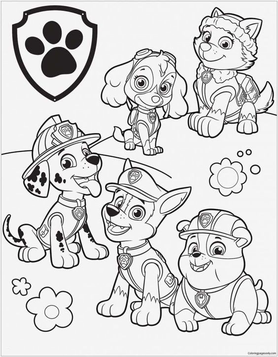 100 idées de dessins pat patrouille 95 100 idées de dessins pat patrouille 95