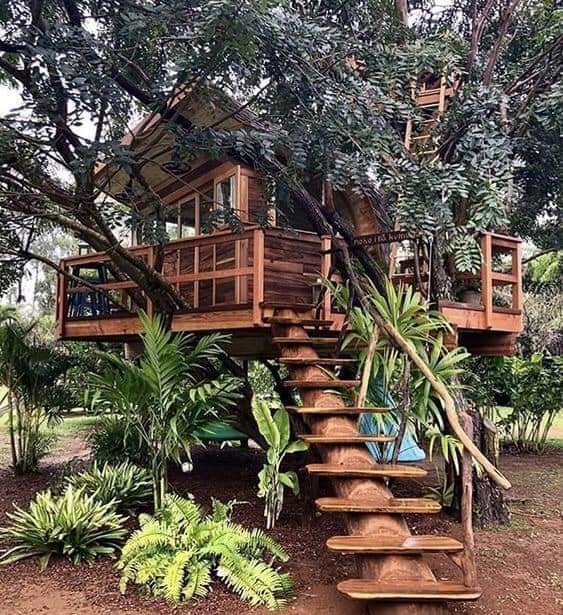 24 idées de maisons pour les amoureux de la nature 1 24 idées de maisons pour les amoureux de la nature 1