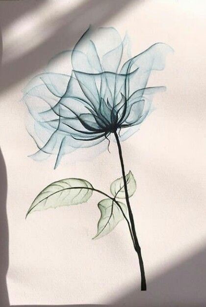 Les 50 plus beaux tatouages coquelicot 21 Les 50 plus beaux tatouages coquelicot 21