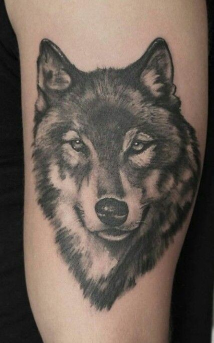 100 top idées de tatouages loup 25 C:\Users\UTILISATEUR\Desktop\loup homme\6a43415b3afb681e63ed78b69fb517f8.jpg