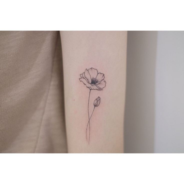 Les 50 plus beaux tatouages coquelicot 27 Les 50 plus beaux tatouages coquelicot 27