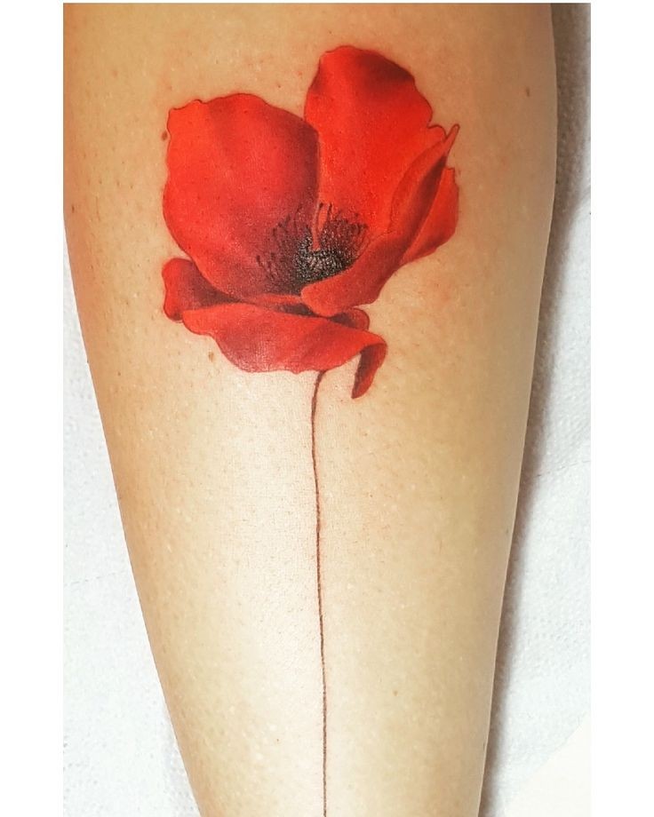 Les 50 plus beaux tatouages coquelicot 32 Les 50 plus beaux tatouages coquelicot 32