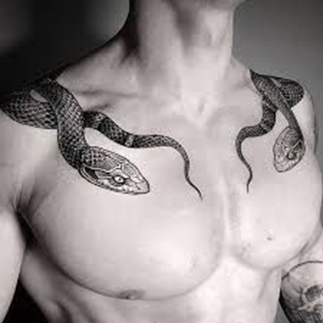 100 top idées de tatouages serpents 47