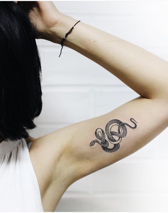 100 top idées de tatouages serpents 52