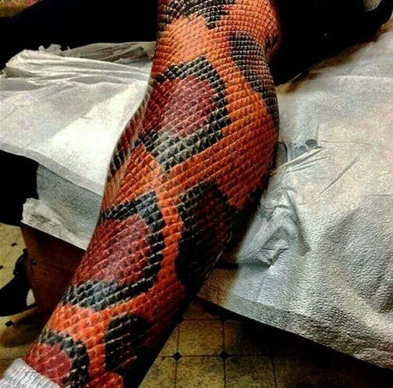 100 top idées de tatouages serpents 60