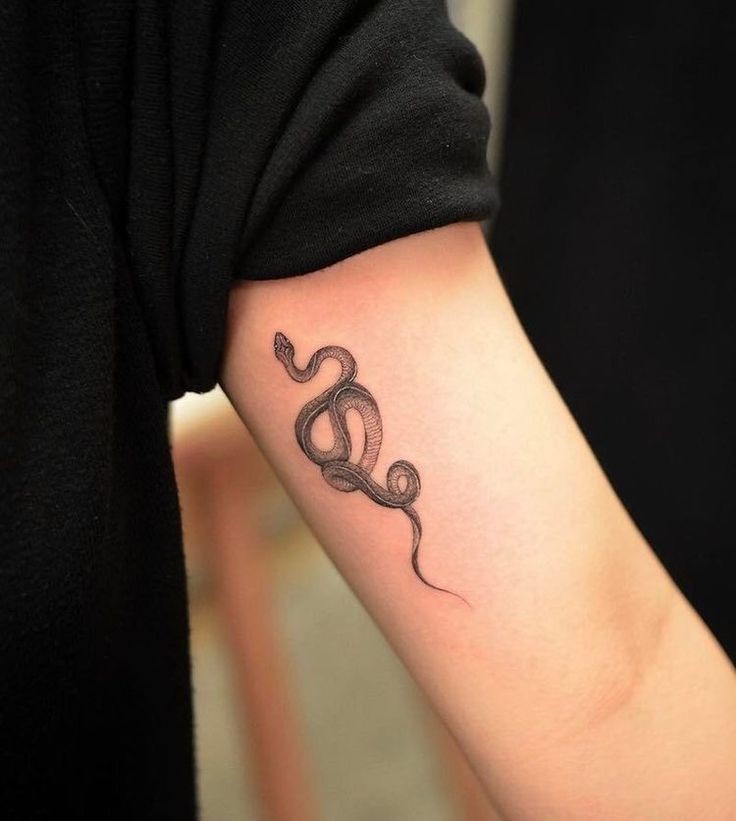 100 top idées de tatouages serpents 64