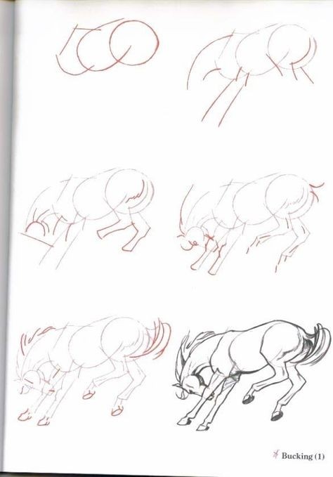 50 top idées de dessin de cheval 12