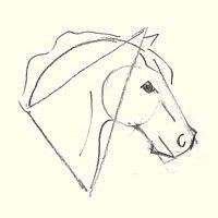 50 top idées de dessin de cheval 13