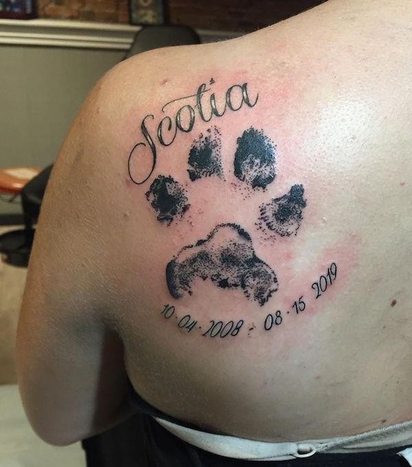 50 top idées de tatouages patte de chien 14 50 top idées de tatouages patte de chien 14