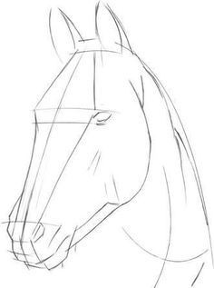 50 top idées de dessin de cheval 15