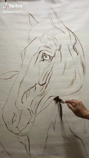 50 top idées de dessin de cheval 17