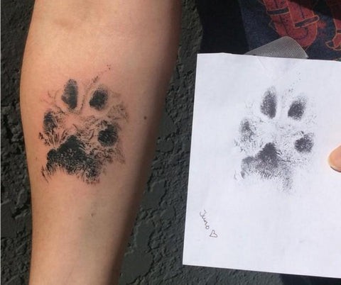 50 top idées de tatouages patte de chien 22 50 top idées de tatouages patte de chien 22