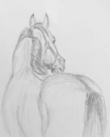 50 top idées de dessin de cheval 28