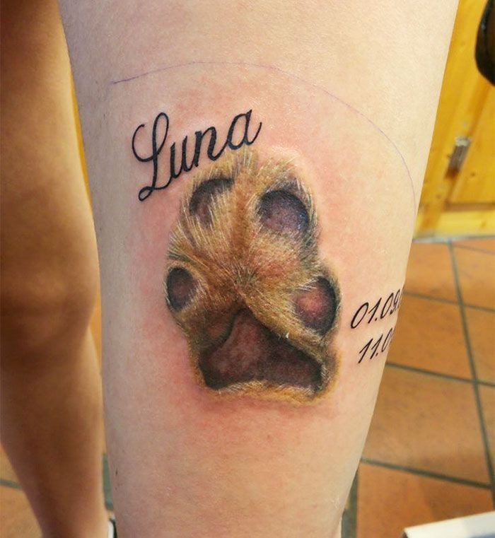50 top idées de tatouages patte de chien 29 50 top idées de tatouages patte de chien 29