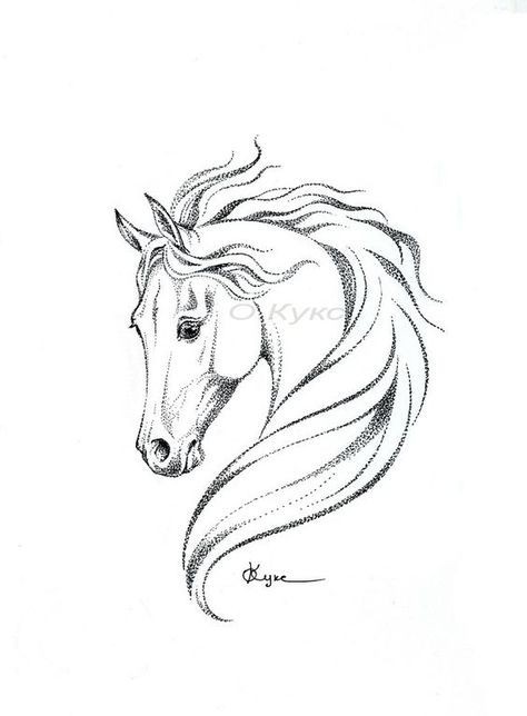 50 top idées de dessin de cheval 37