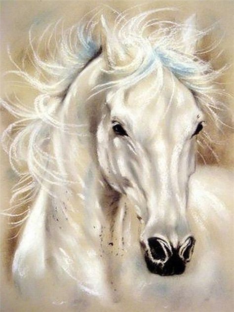 50 top idées de dessin de cheval 6