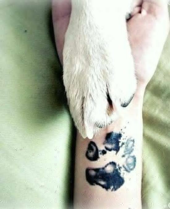 50 top idées de tatouages patte de chien 6 50 top idées de tatouages patte de chien 6