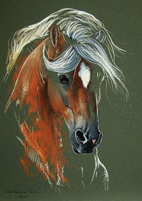 50 top idées de dessin de cheval 10