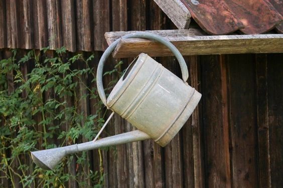 30 Recettes de désherbants naturels faciles à faire 2
