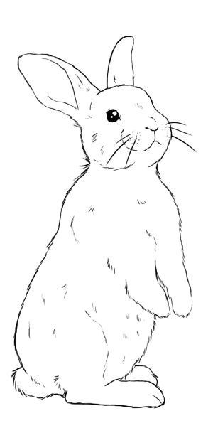 29 top idées de lapin de Pâques à dessiner 14 29 top idées de lapin de Pâques à dessiner 14