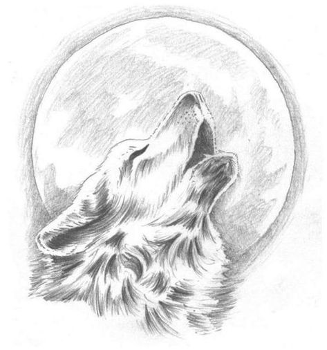 57 idées de dessins de chien pour apprendre à dessiner des chiens 15