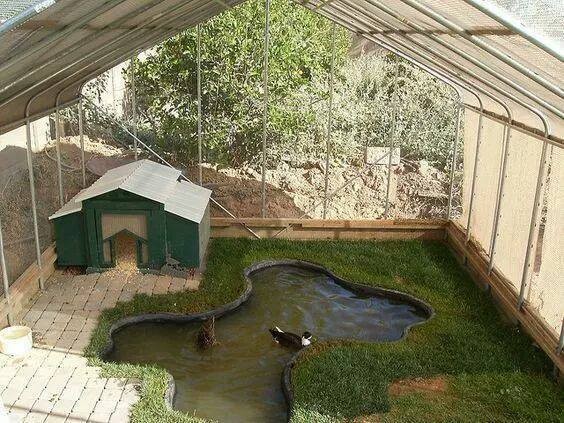 16 idées pour avoir une ferme dans son jardin 3