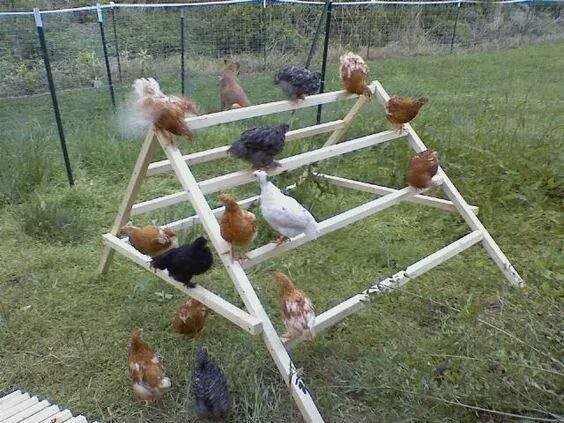 16 idées pour avoir une ferme dans son jardin 12