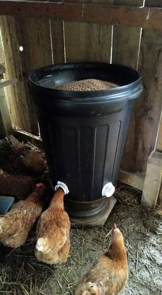 16 idées pour avoir une ferme dans son jardin 15