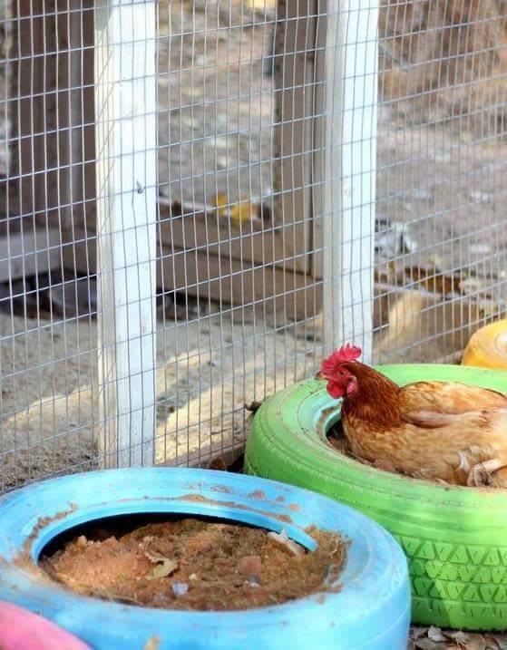 16 idées pour avoir une ferme dans son jardin 16
