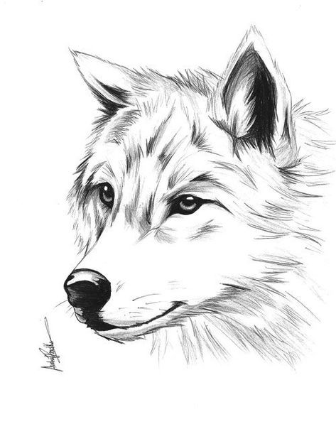 57 idées de dessins de chien pour apprendre à dessiner des chiens 23