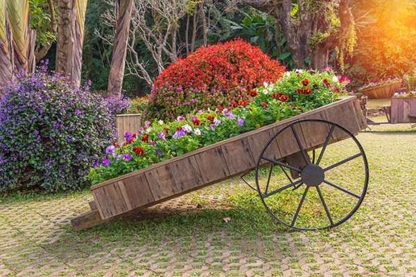 30 parterres de fleurs que vous pourriez essayer aujourd'hui 7 30 parterres de fleurs que vous pourriez essayer aujourd'hui 7