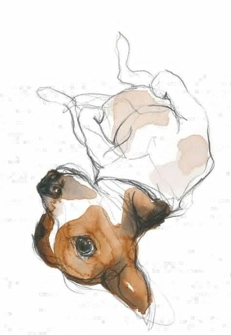 57 idées de dessins de chien pour apprendre à dessiner des chiens 33