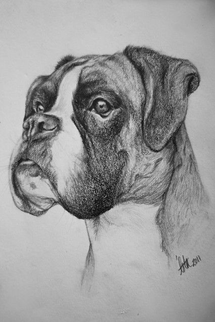 57 idées de dessins de chien pour apprendre à dessiner des chiens 35